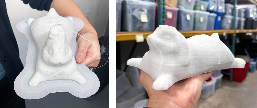 3D printed white bunny before and after ear remodel